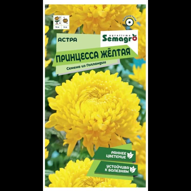 Семена цветов Semagro астра Принцесса желтый