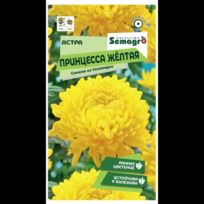 Семена цветов Semagro астра Принцесса желтый 1