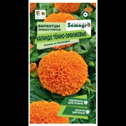 Семена цветов бархатцы Каландо темно-оранжевый 1