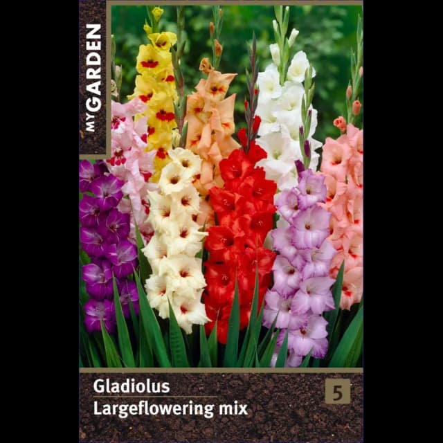 Гладиолус крупноцветковый микс луковицы 10/12
