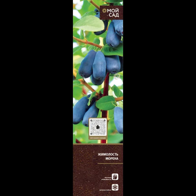 Плодово-ягодные кустарники туба h20 см 7