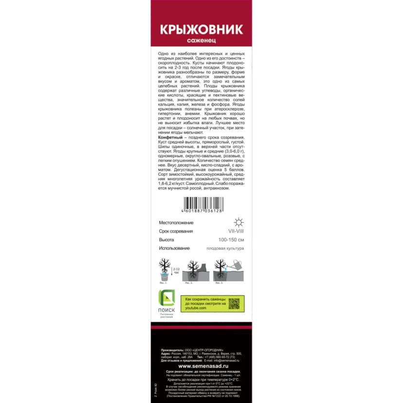 Крыжовник Конфетный коробка h39 см 2