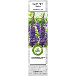 Буддлея Давида Эмпайр Блю h39 см 1