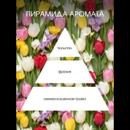 Ароматический диффузор Aroma Harmony Тюльпан и фрезия 60 мл 3