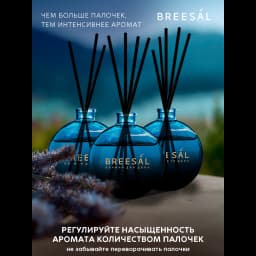 Ароматический диффузор Breesal Voyage Дивный восток 70 мл 5