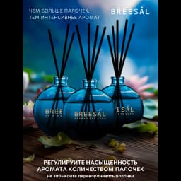 Ароматический диффузор Breesal Voyage Шелковый путь 70 мл 5