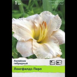 Ирис сибирский 2