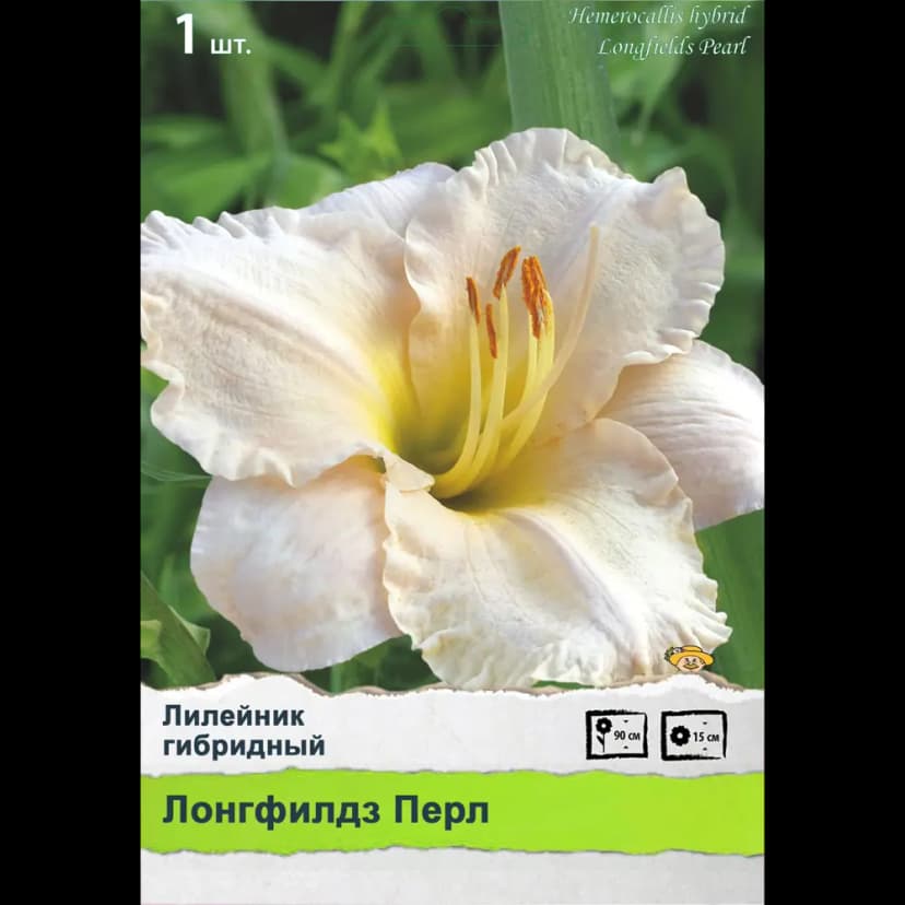 Ирис сибирский 2