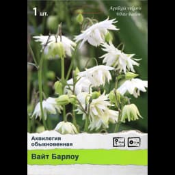 Многолетники Промо 1