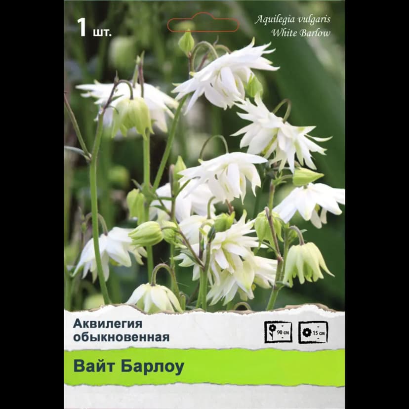 Многолетники Промо 1