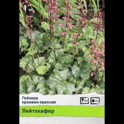 Многолетники Промо 2