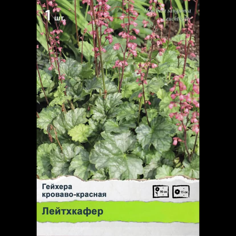 Многолетники Промо 2