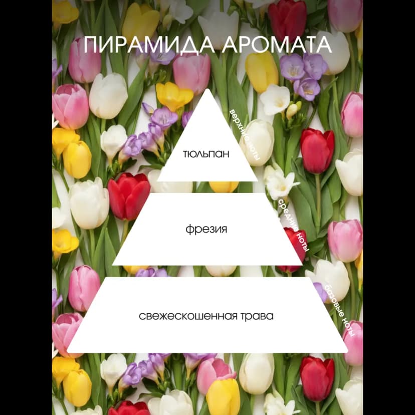 Ароматический диффузор Aroma Harmony Тюльпан и фрезия 60 мл 3